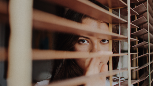 Surviving Cabin Fever image
